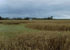 avebury-crop