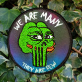 Pepe The Punisher Frog Meme Embroidered Kek patch – Cosmic-Corner