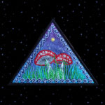 Fly Agaric Triangle Trippy Toadstool Embroidered T-shirt - Sunny or Night Sky UV Bright Glowy by Cosmic-Corner.com