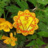 Solar Plexus Chakra Mini Embroidered Patches by Cosmic-Corner.com